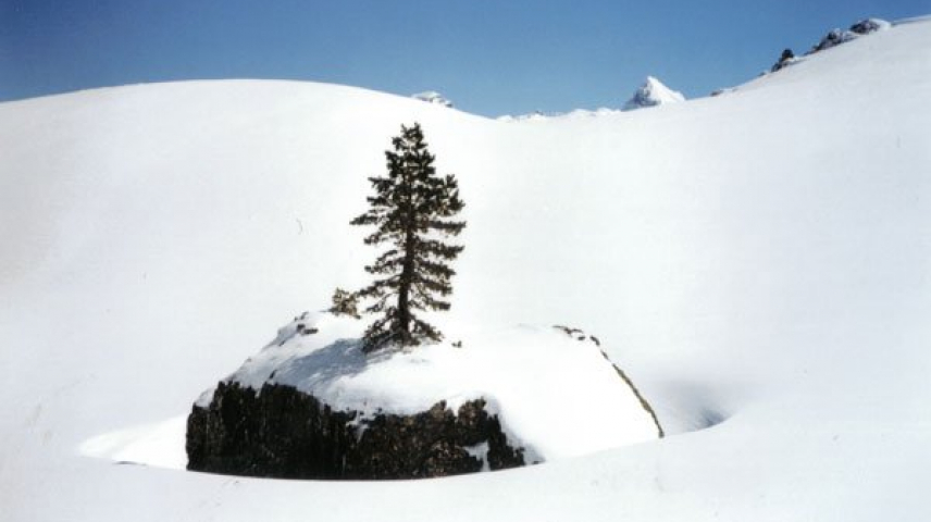 Mendiak #5